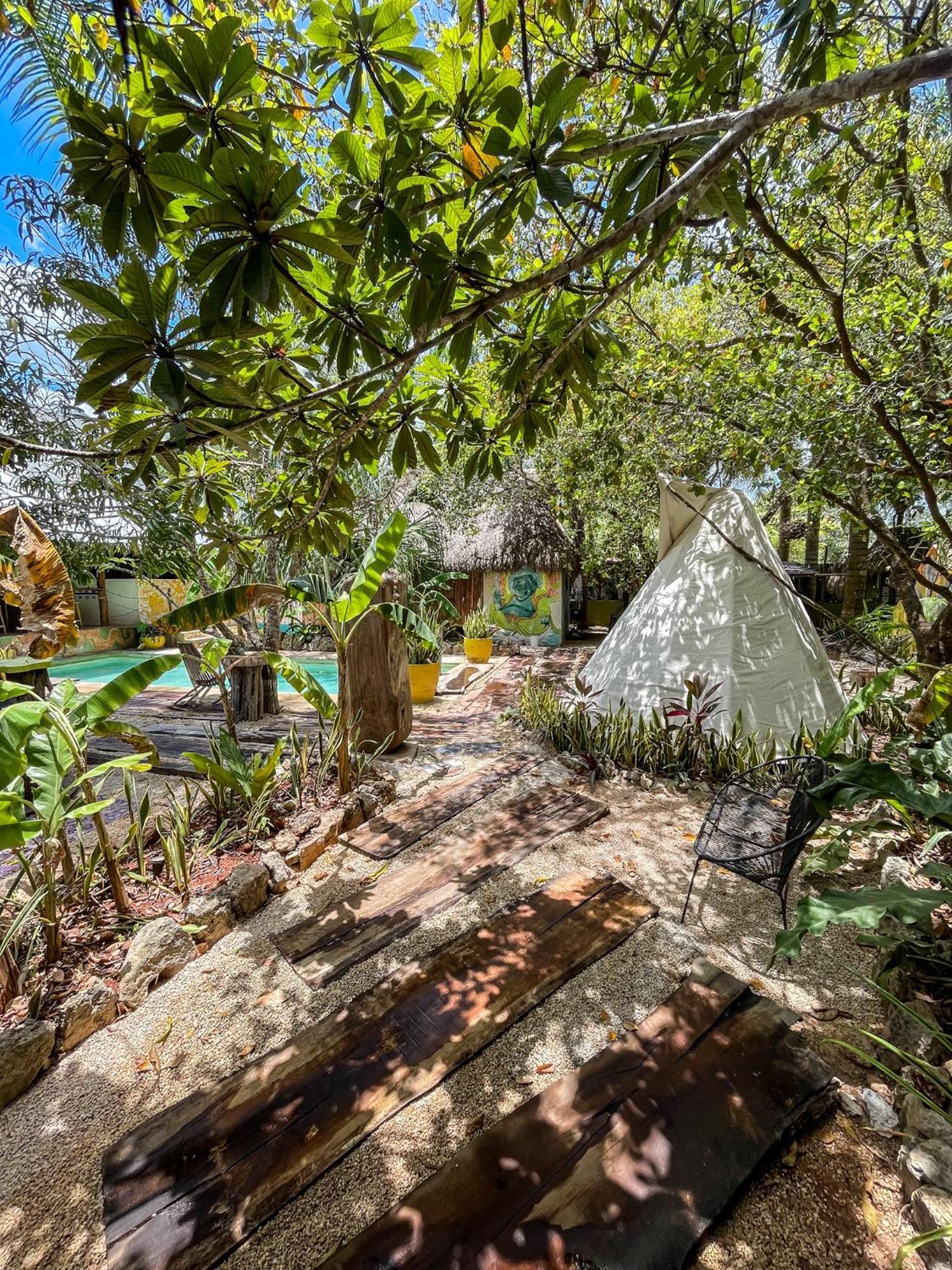 Bufo Alvarius Sanctuary Bacalar Buenavista  Экстерьер фото